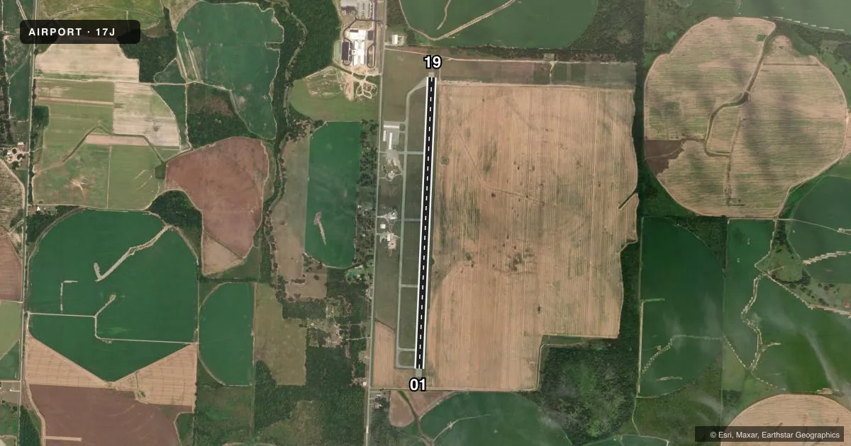 Top-down satellite sketch of 17J DONALSONVILLE MUNI in DONALSONVILLE, GEORGIA, showing runways 01/19 drawn to scale over Esri World Imagery