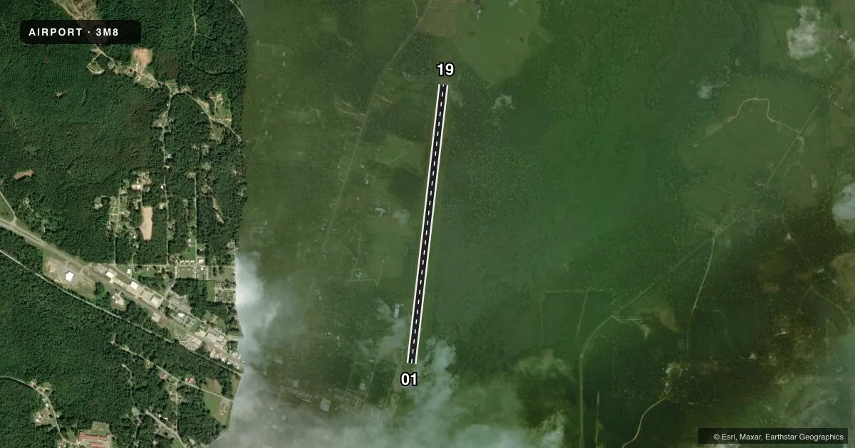 Top-down satellite sketch of 3M8 NORTH PICKENS in REFORM, ALABAMA, showing runways 01/19 drawn to scale over Esri World Imagery