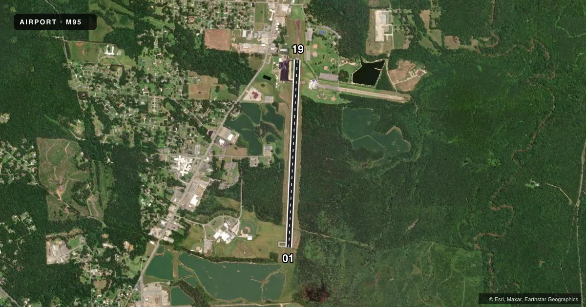 Top-down satellite sketch of M95 RICHARD ARTHUR FLD in FAYETTE, ALABAMA, showing runways 01/19 drawn to scale over Esri World Imagery