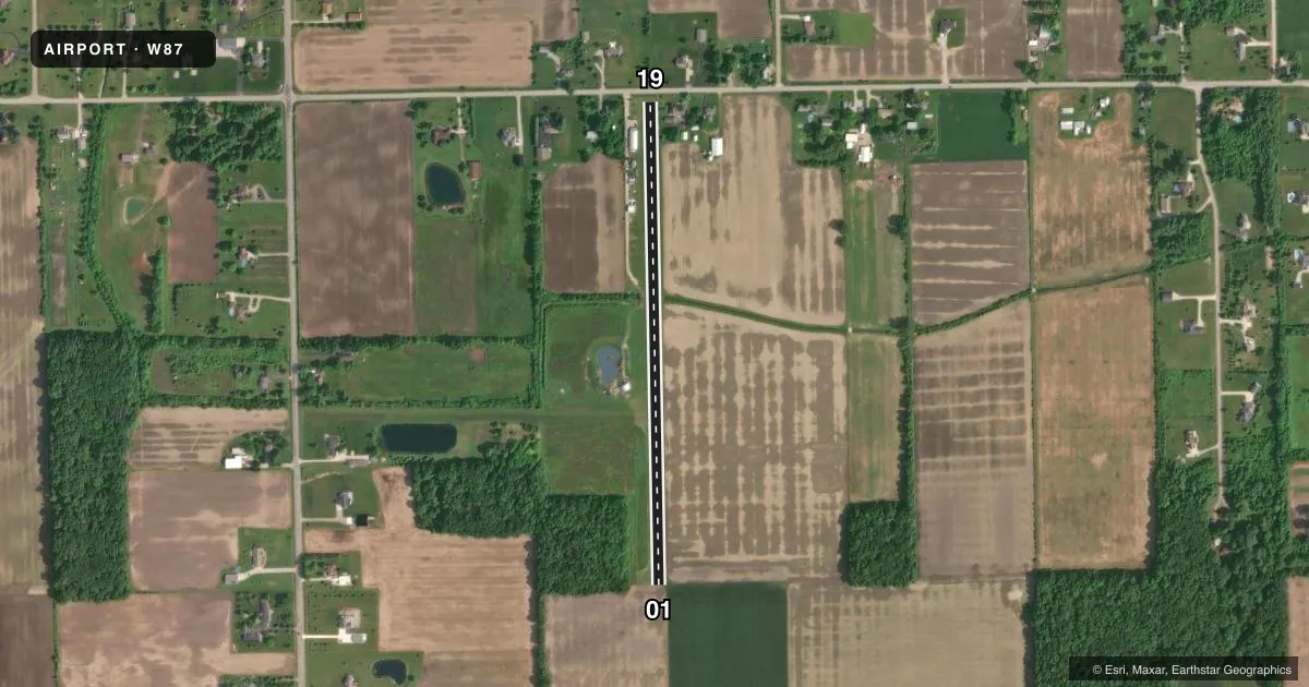 Top-down satellite sketch of W87 BUZZWICK in CARLETON, MICHIGAN, showing runways 01/19 drawn to scale over Esri World Imagery